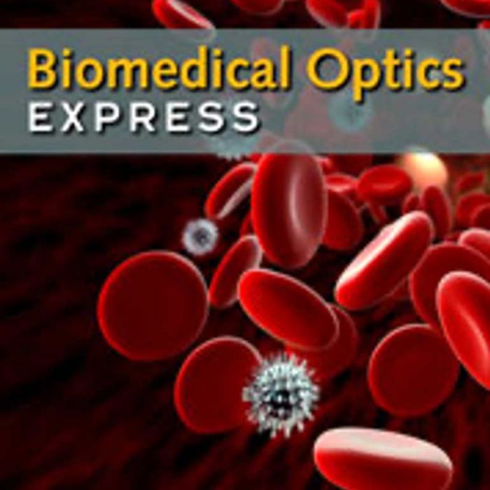 Biomass measurements of single neurites in vitro using optical wavefront microscopy