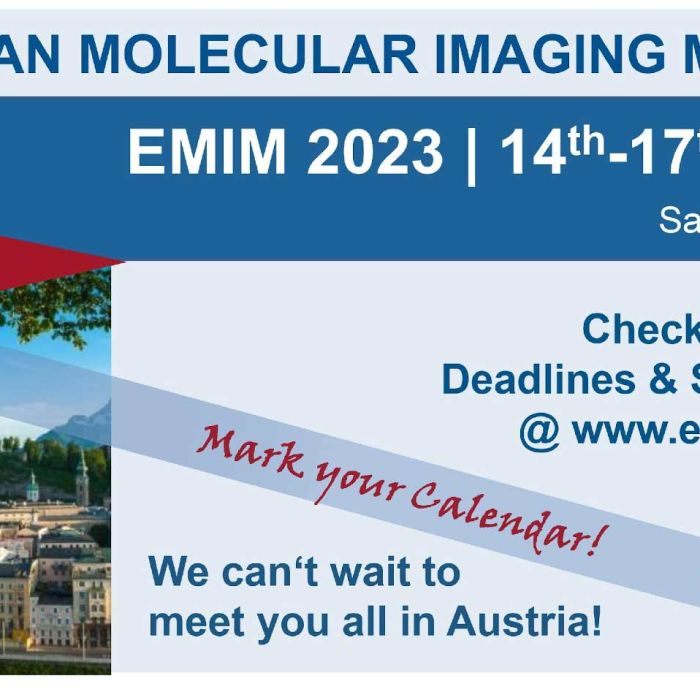 Intravital microscopy to evaluate the therapeutic effects of photobiomodulation in a rodent model of multiple sclerosis
